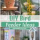DIY Bird Feeder Ideas 1