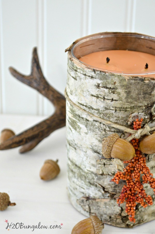 DIY Birch Bark Candle Holder Plan