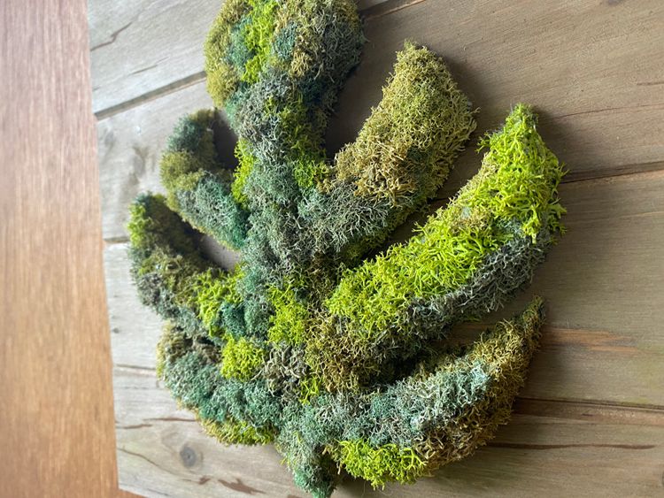How To DIY A Preserved Moss Wall