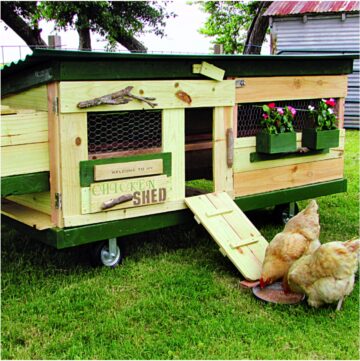 DIY Chicken Tractor Plans