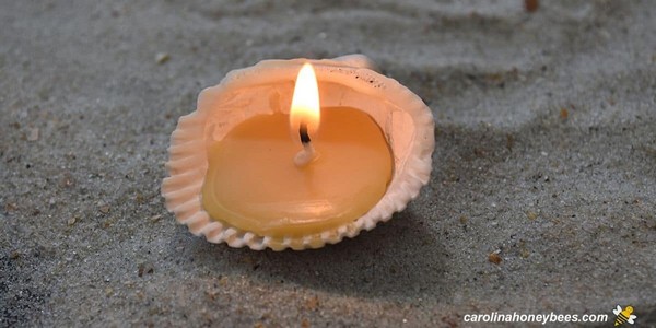 DIY Seashell Candles-Made With Beeswax