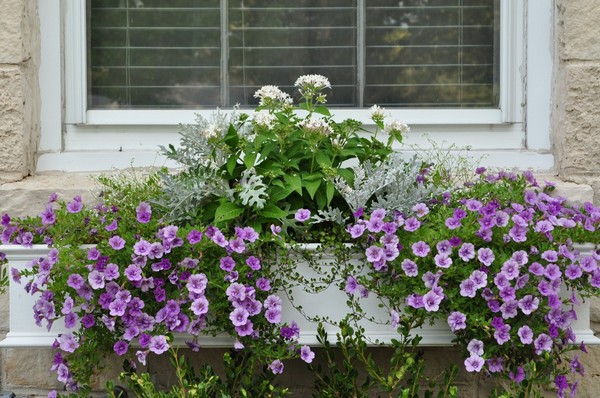 DIY Window Box Flowers Tutorial
