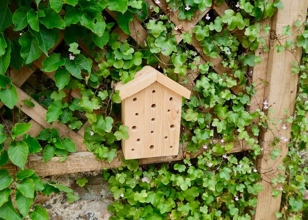 DIY Wooden Bee House Plan