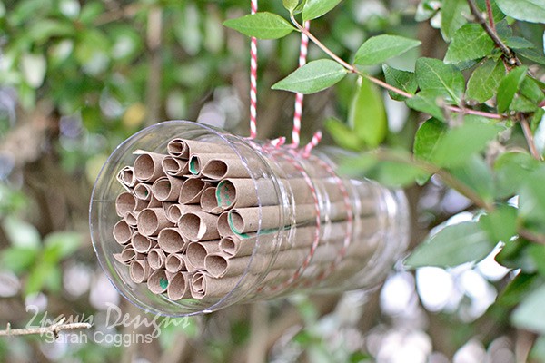 Make A Bee Hotel From Recycled Materials
