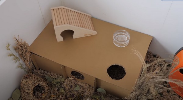 How To Make A Cheap Hamster Hideout