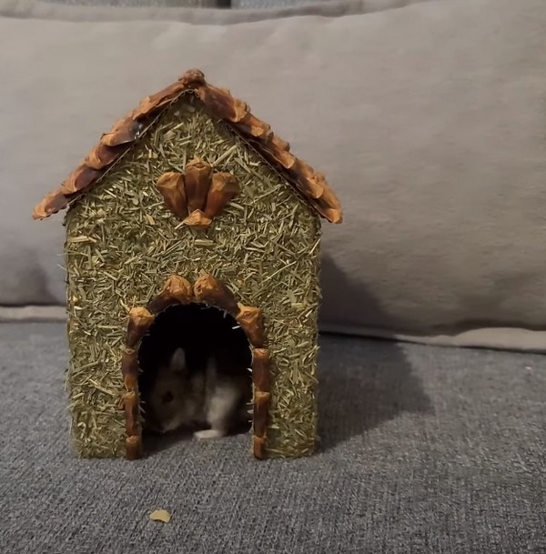 Making 2 Natural Hamster Hideouts