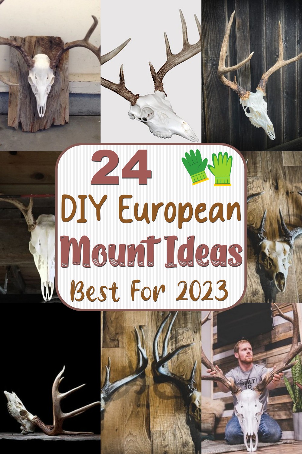 24 Best DIY European Mount Ideas In 2023