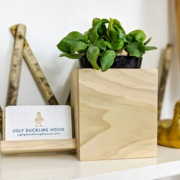 DIY Business Card Holder + Desk Planter