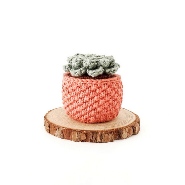 Free Crochet Succulent Patterns
