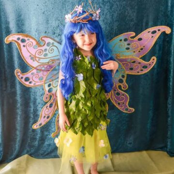 DIY Fairy Costume Ideas
