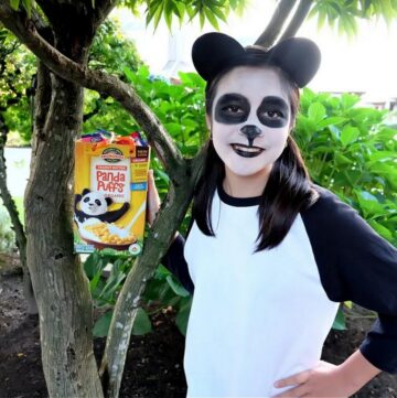 DIY Panda Costume Ideas